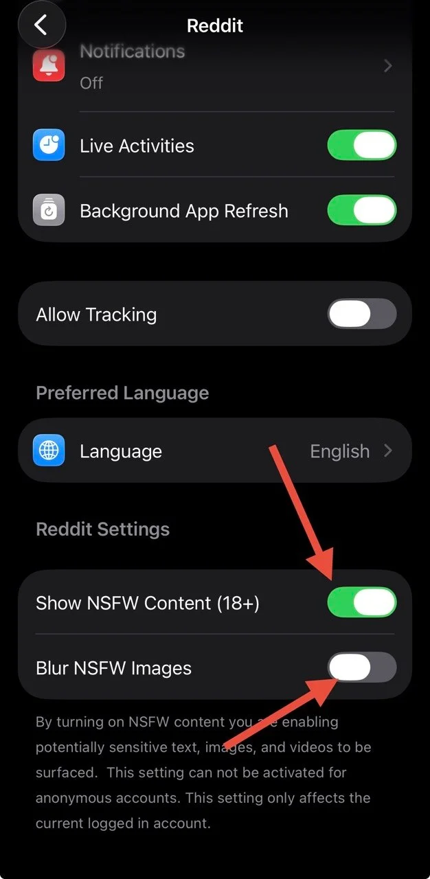 Enable show NSFW content and disable blur NSFW images in iPhone settings for Reddit