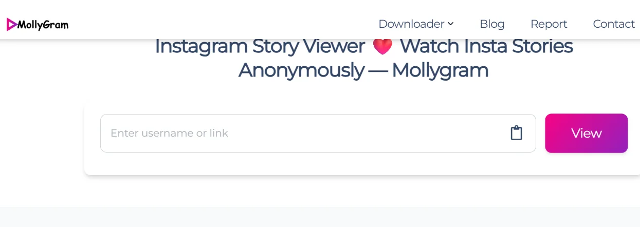 Enter a username to view and download Instagram stories, posts, and reels using StoriesDown