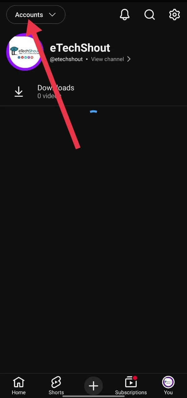 YouTube app profile menu showing Accounts option at the top left