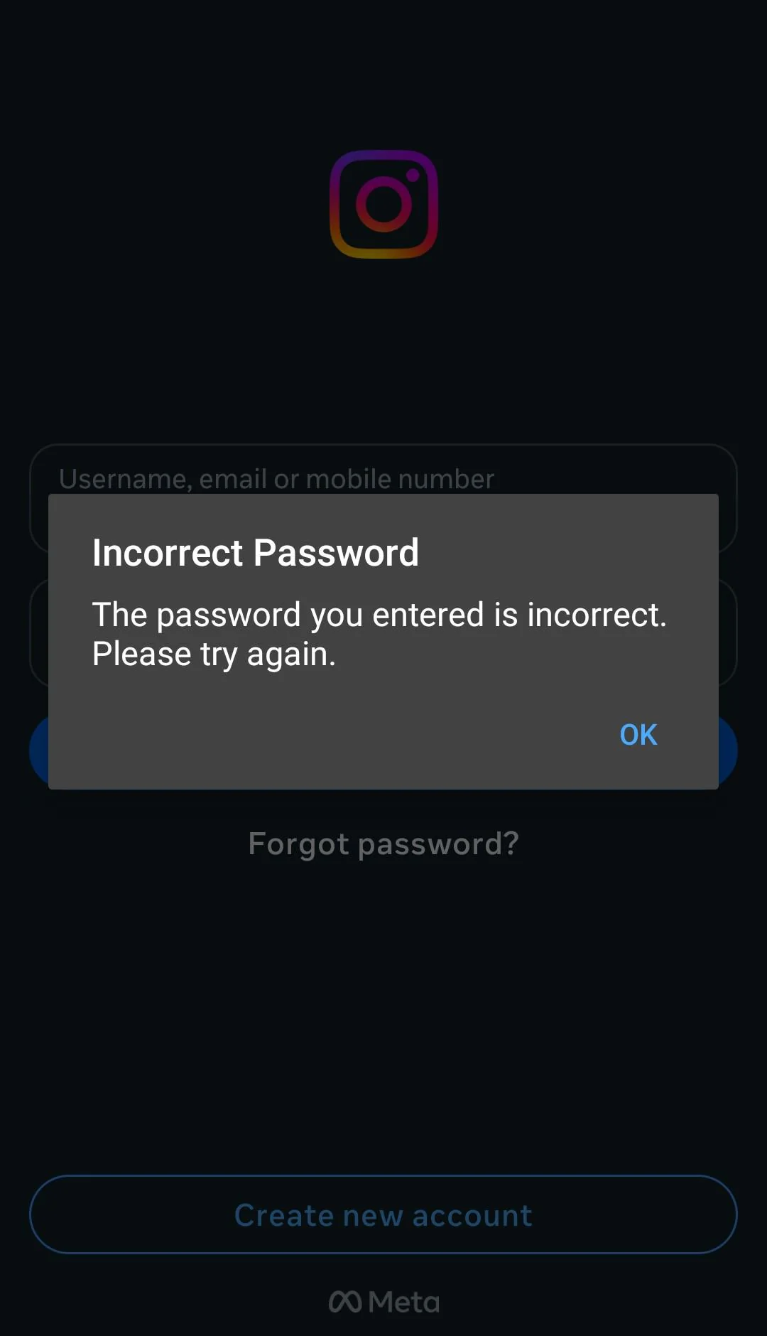 Instagram app showing the Incorrect Password error during login even though it is correct