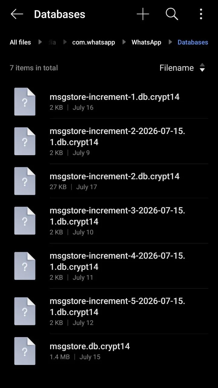WhatsApp .crypt14 backup files stored inside the Databases folder