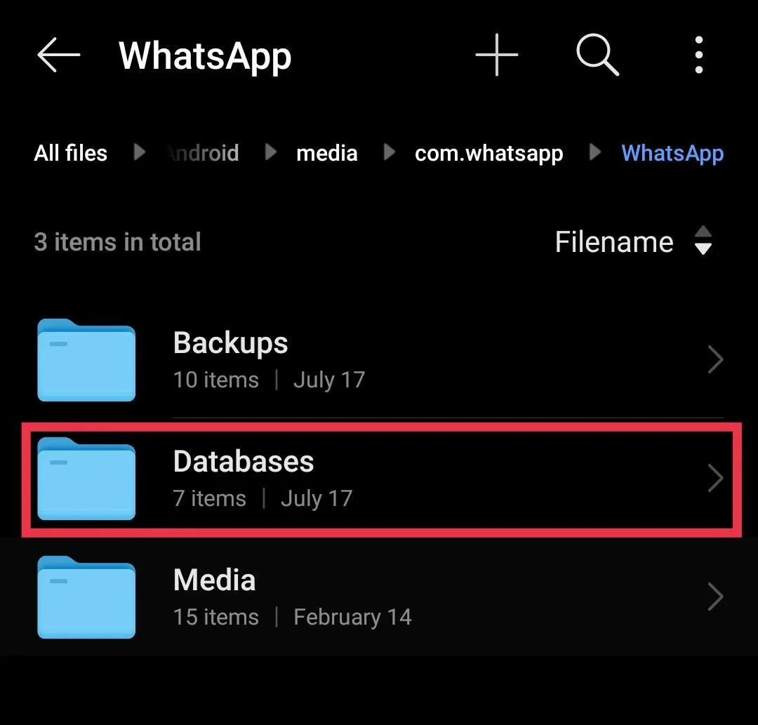 WhatsApp Databases folder containing local backup files on Android