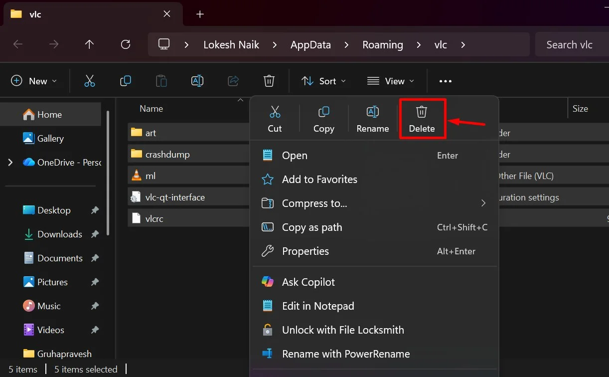 VLC AppData folder with its settings and cache files selected for deletion